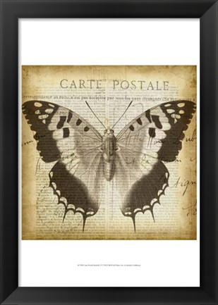 Framed Carte Postale Butterfly II Print