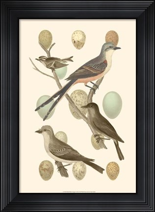Framed British Birds and Eggs I Print