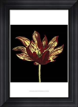 Framed Natural Beauty on Black I Print