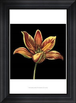 Framed Natural Beauty on Black II Print