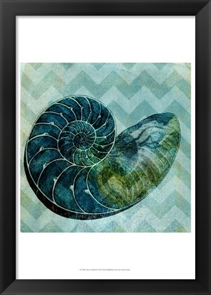 Framed Chevron Shell I Print