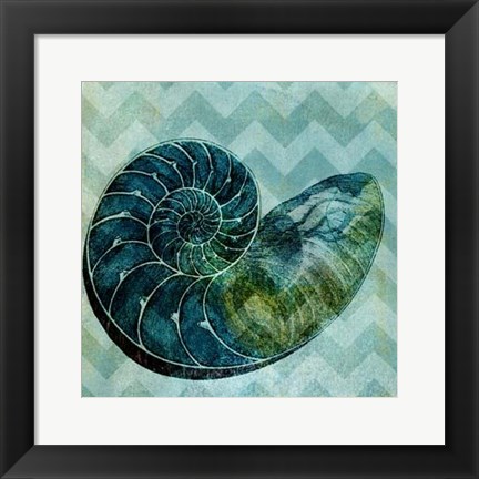 Framed Chevron Shell I Print