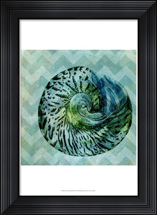 Framed Chevron Shell II Print