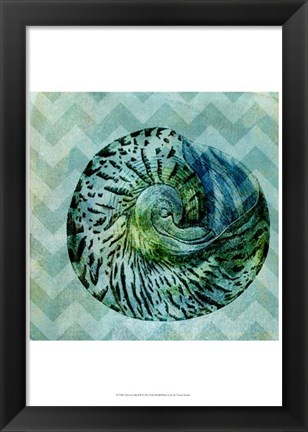 Framed Chevron Shell II Print