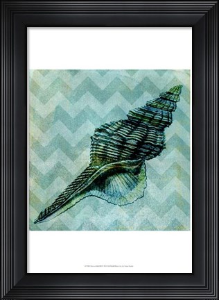 Framed Chevron Shell III Print