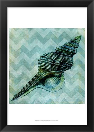 Framed Chevron Shell III Print