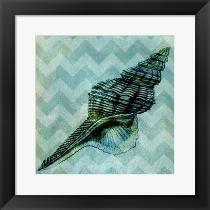 Framed Chevron Shell III Print