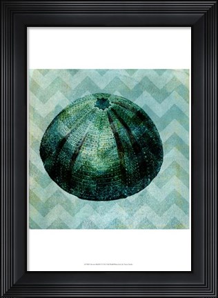 Framed Chevron Shell IV Print