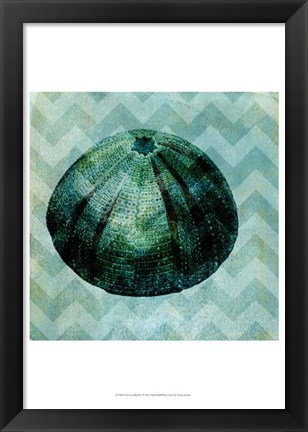 Framed Chevron Shell IV Print