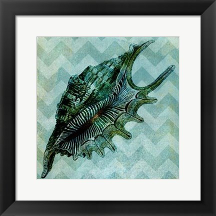 Framed Chevron Shell VII Print