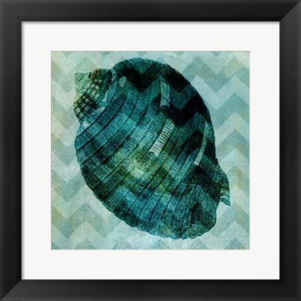 Framed Chevron Shell VIII Print