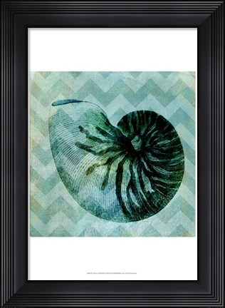 Framed Chevron Shell IX Print