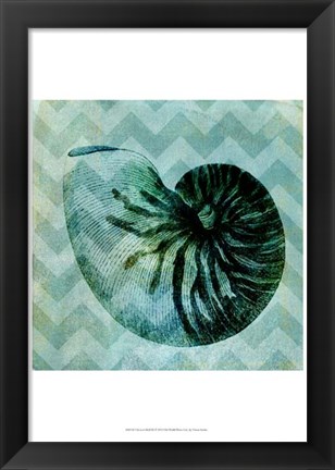 Framed Chevron Shell IX Print