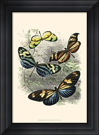 Framed Butterfly Sanctuary I Print