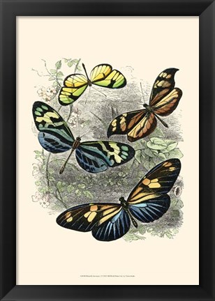 Framed Butterfly Sanctuary I Print