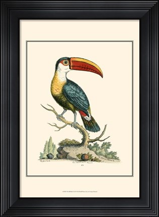Framed Bill Bird Print