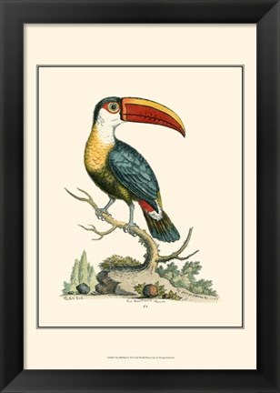 Framed Bill Bird Print