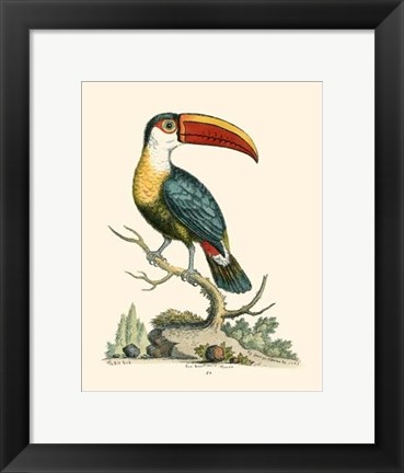 Framed Bill Bird Print