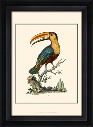 Framed Toco Toucan Print