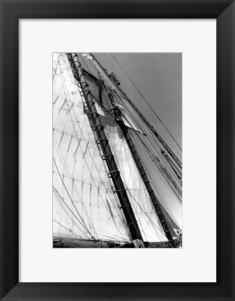 Framed Set Sail I Print