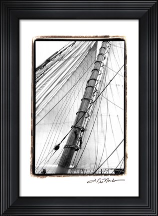 Framed Set Sail VI Print