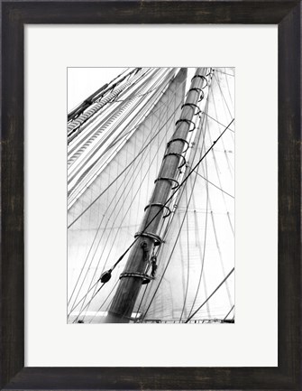 Framed Set Sail VI Print