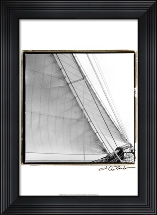 Framed Undersail I Print