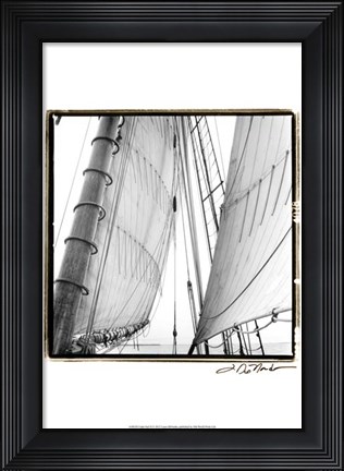 Framed Undersail II Print