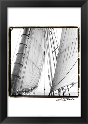 Framed Undersail II Print
