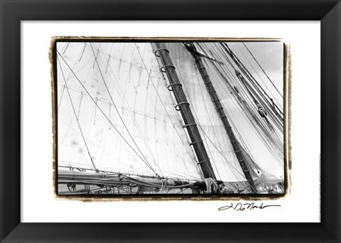 Framed Undersail III Print