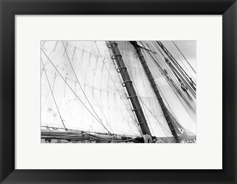 Framed Undersail III Print