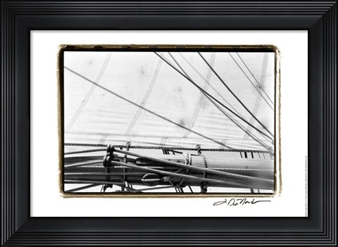 Framed Undersail IV Print