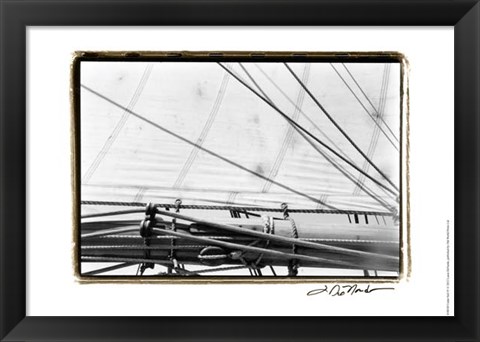 Framed Undersail IV Print