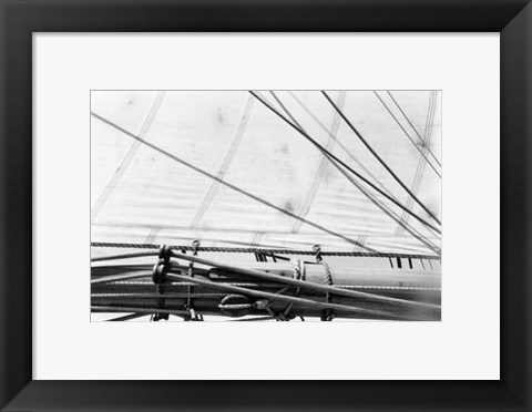 Framed Undersail IV Print