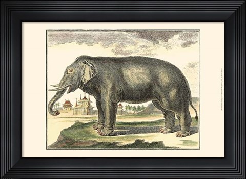 Framed Elephant Print