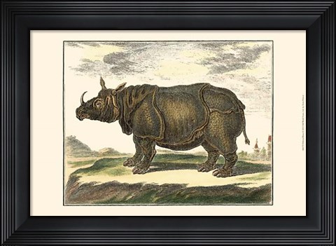 Framed Rhino Print