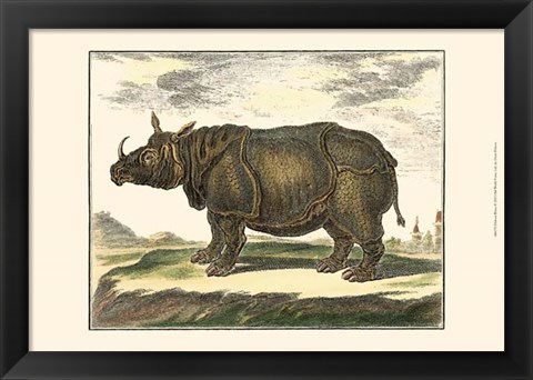 Framed Rhino Print