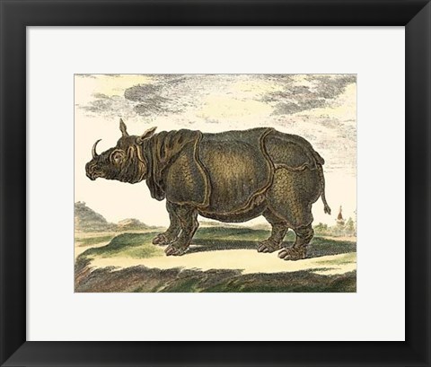 Framed Rhino Print