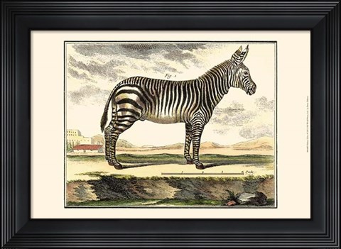 Framed Zebra Print