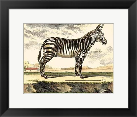 Framed Zebra Print