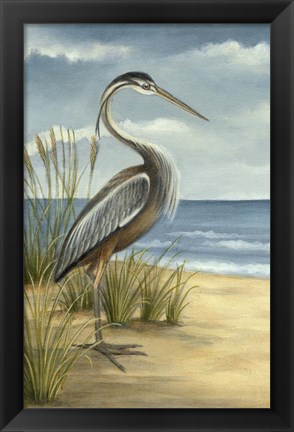 Framed Shore Bird I Print