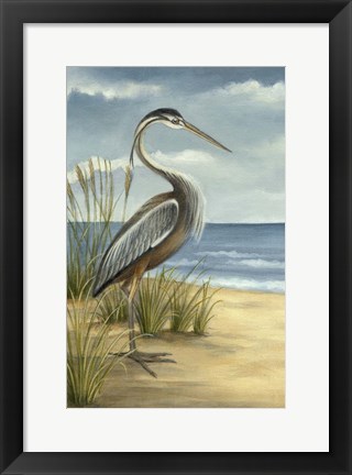 Framed Shore Bird I Print