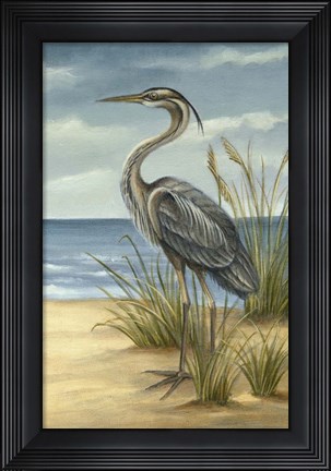 Framed Shore Bird II Print