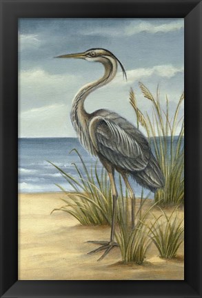 Framed Shore Bird II Print