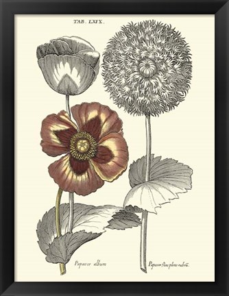 Framed Tinted Floral II Print