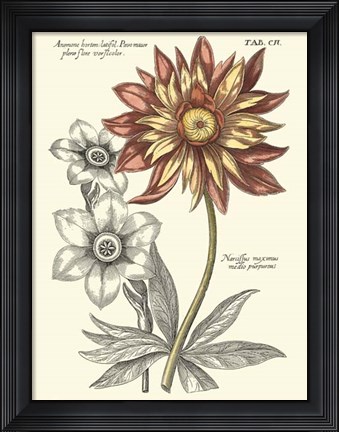 Framed Tinted Floral III Print