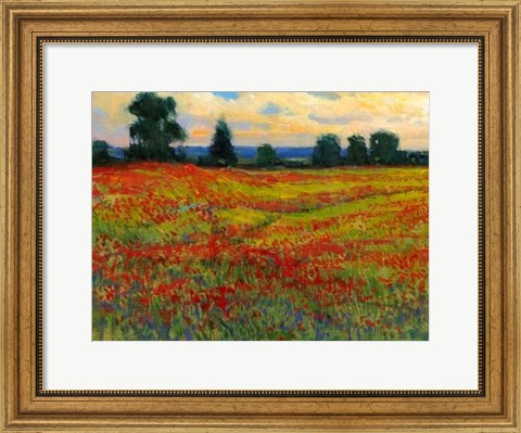 Framed Red Field I Print