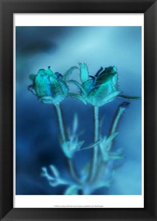 Framed Love Flowers III Print