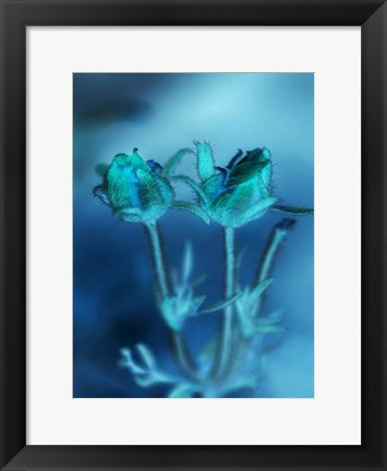 Framed Love Flowers III Print