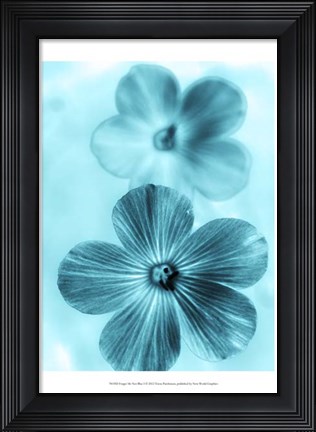 Framed Forget Me Not Blue I Print